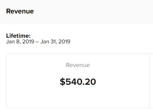First Mediavine earnings